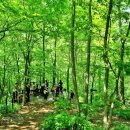 남동화원 이미지