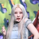 퍼플케이(purple k) 이미지