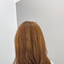 원주소화 이미지