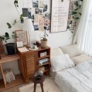 티디에스(TDS) | 인테리어 엽서로 자취방 벽 꾸미기, 프롬티디에스 리뷰