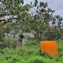 현호농장 이미지