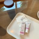 메디온랩 | [공지] 이번주 스케줄 안내 📢