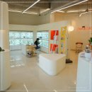 대구강아지분양 퍼피얌 이미지