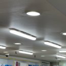 전등약국 이미지