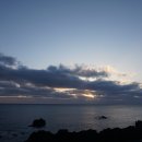 신풍농장 이미지