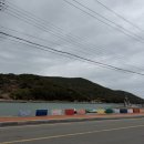 원식당 | [여수 금오도 맛집]원식당 : 방풍짜장면과 인생 오징어탕수육 솔직후기