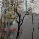 인천논곡초등학교 이미지