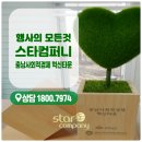 스타컴퍼니소상공인협동조합 이미지