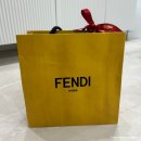 바이더웨이 | 펜디 바이 더 웨이 소프트 미니(브라운 FF 자카드 패브릭 미니백) 내돈내산 구입후기