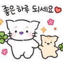 홈즈부동산중개법인 이미지