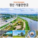 동의한방촌 | 경북 경산 가볼만한곳 하양유채꽃단지 임당유적전시관 경산동의한방촌 족욕체험