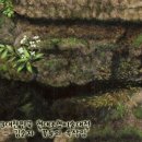 2013년 대한민국 현대조형미술대전 특선 - 신촌 풀잎 김순자 수강생 이미지
