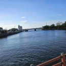 월대천 | 아이와 함께한 제주 물놀이 명소 월대천 후기