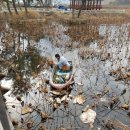 화양읍사무소 이미지