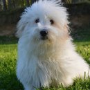 미스터브리더 이미지