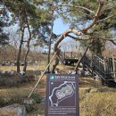 한솔동_복합커뮤니티센터 정음관 | [세종알기] 한솔동 _ 백제고분역사공원 #한솔동복컴 #석실분1_2호