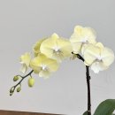 영전농장 이미지