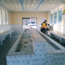 대천용두야영장 이미지