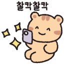 파스구찌평화