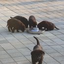 올림푸스원 이미지