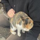 용둔농장 네이버블로그