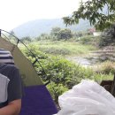 여름휴가 동안 계곡으로 1박 2일 캠핑가서 산메기 35마리잡아 매운탕 끓여먹었읍니다. 이미지