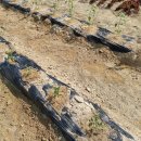 성부농장 이미지