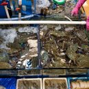 호남수산 이미지