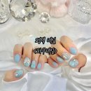 하쿠애견샵 이미지