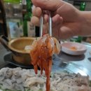 맛.아나고.산꼼장어