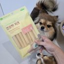 건강한 강아지 | 리온이네 강아지 치즈 간식 건강한 치즈 요거트 스틱 급여 후기