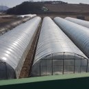 도청대로(동) 이미지