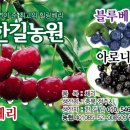 한길농원 이미지