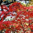 금강온천 이미지