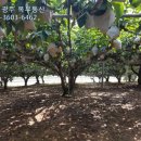 장성 공인중개사사무소 이미지