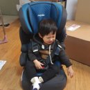 퀼트쥬니어 | [주니어카시트] 나니아 퀼트 비라인 카시트 내돈내산 후기