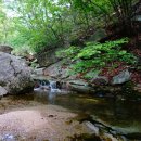 유격장 지나 이미지