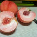 율곡농장 이미지