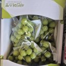밀민박 | 아산 신정호 맛집｜두 번째 찾은 꽃피는밀, 물막국수·비빔막국수·메밀전병