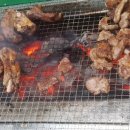 차령펠리스 이미지