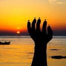 스탠포트호텔서울 이미지