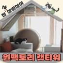 고려 수 타워 | 윈팩토리 캣타워 내돈내산 2년 실사용 솔직후기 좁은집도 넓어지게하는 마법