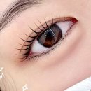 선브로우 이미지