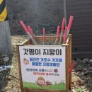 호명산잣나무숲캠핑장 | [호명산잣나무숲속캠핑장] 백패커들의 호캉스 캠핑장 호잣캠 - 6번 데크 후기