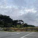 별미로스터스