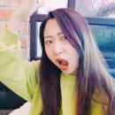 아베니아 네이버블로그
