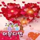 할리퀸 - 세상 하나뿐인 이미지