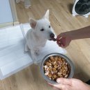 미리내 하우스 펜션 이미지