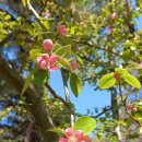 조이바이오(주)농업회사법인 이미지