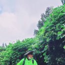 구중산중 이미지